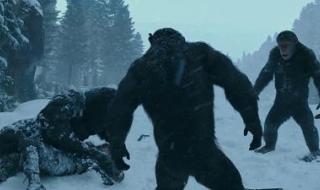 猩球崛起好看吗 猩球崛起好看吗