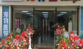 漳州芗城区地图 漳州芗城区地图