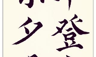 《乐游原》正式官宣 《乐游原》正式官宣