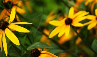 双流电脑培训学校 双流电脑培训学校