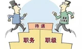 职务与职级并行制度 职务与职级并行制度