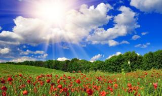 日出东方却落于西