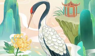 幼儿园重阳节文案 幼儿园重阳节文案