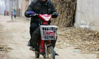 朱之文我是大明星