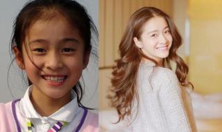 2011年电视剧排行榜 2011年电视剧排行榜