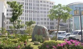 云南宾川县 云南宾川县