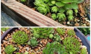 心灵的洗礼 心灵的洗礼