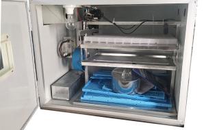 小型孵化机 小型孵化机