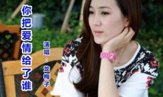你把爱情给了谁龙梅子 你把爱情给了谁龙梅子