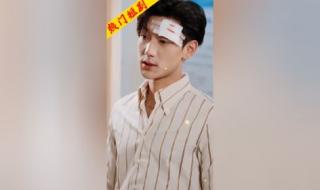 厉总你找错夫人了短剧 厉总你找错夫人了短剧