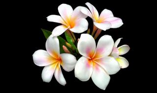 自制摄影棚 自制摄影棚