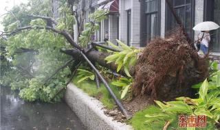 台风的名字怎么来的