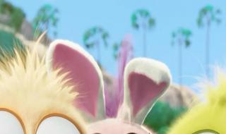 愤怒的小鸟电脑壁纸