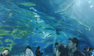 海昌极地海洋世界团购 海昌极地海洋世界团购