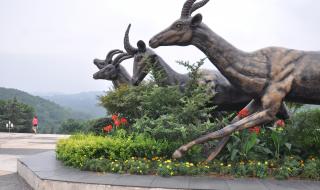 重庆野生动物园 重庆野生动物园