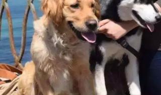 上海野生动物园咬死人 上海野生动物园咬死人