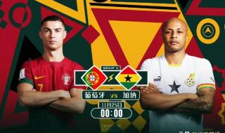 卡塔尔VS厄瓜多尔比分 卡塔尔VS厄瓜多尔比分