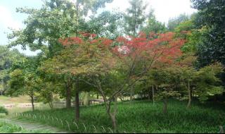 杭州太子湾公园门票 杭州太子湾公园门票