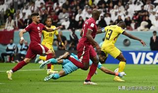 卡塔尔对荷兰预测