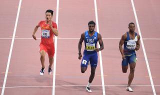 2019年世界田径锦标赛 2019年世界田径锦标赛