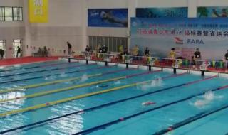 2022年全国游泳锦标赛 2022年全国游泳锦标赛